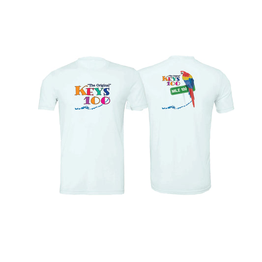 Short Sleeve Tri Blend Tee- Ice Blue